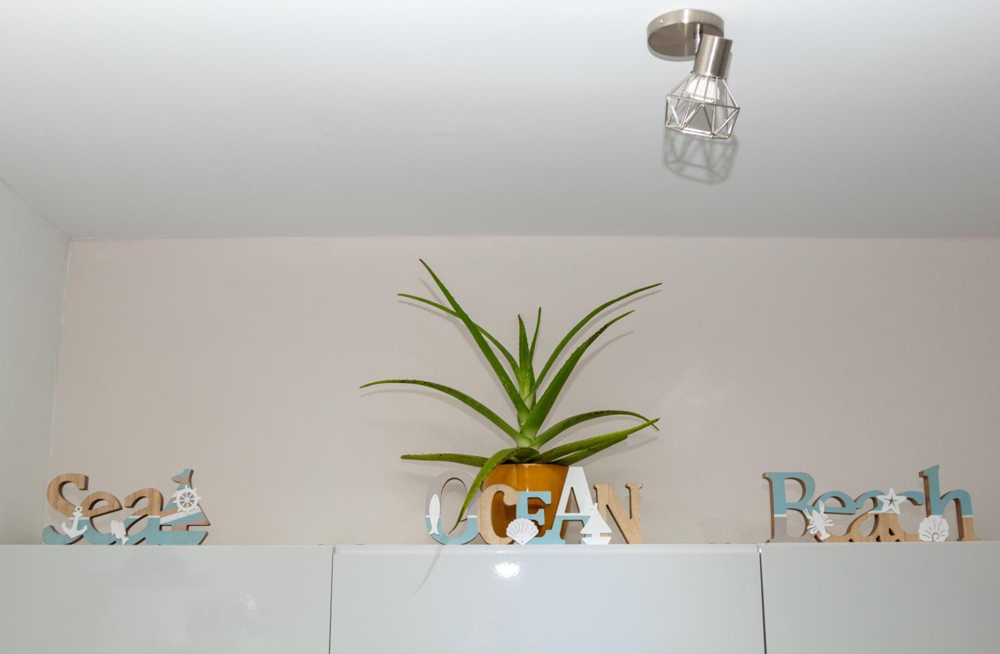 New! Cozy 1 Bedroom Condo- Gold Coast, Noord Aruba Palm Beach Dış mekan fotoğraf